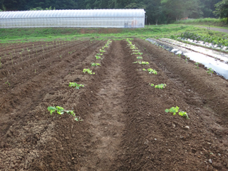 2011-07-01-105.jpg