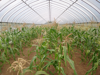 2011-09-02-001.jpg