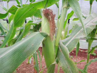 2011-09-02-002.jpg