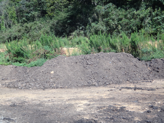 2011-09-12-005.jpg
