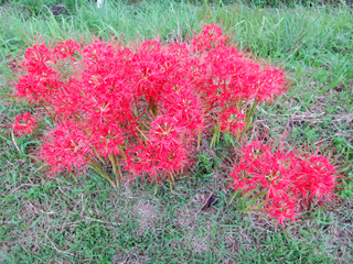 2011-09-16-001.jpg