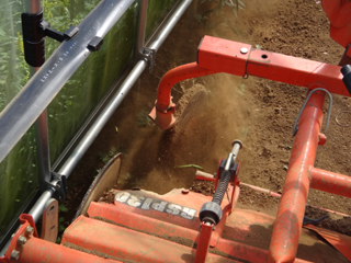 2011-09-29-003.jpg
