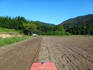 2011-10-05-001.jpg