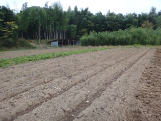 2011-10-19-001.jpg