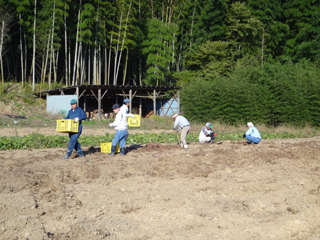 2011-10-21-002.jpg