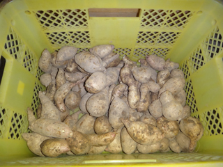 2011-10-25-001.jpg