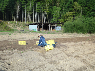 2011-10-26-001.jpg