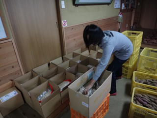 2011-11-29-004.jpg