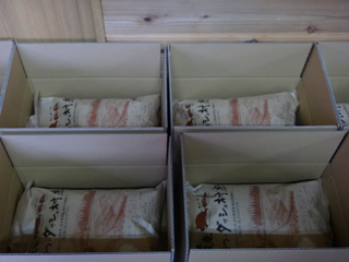 2011-11-30-003.jpg