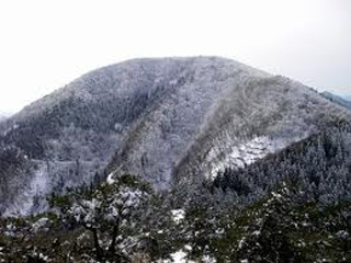 2011-12-09-001.jpg