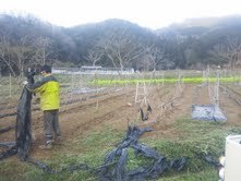 20130319.jpg