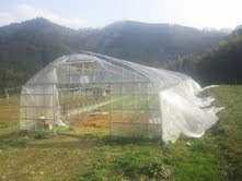 20130319.3.jpg