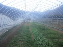 20130319.4.jpg
