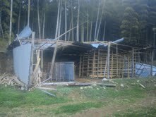 20130319.5.jpg