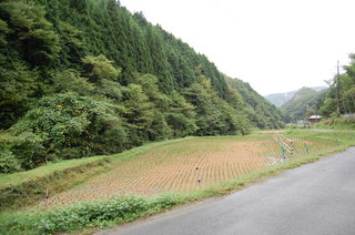 DSC_0039.JPG