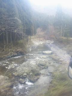 やぎ受け取り 山道3.jpg