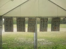 三和分苗4.jpg